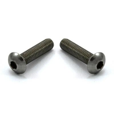 Lund Black Stainless Steel Bolts